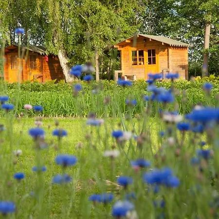 Oja Camping Campingplatz